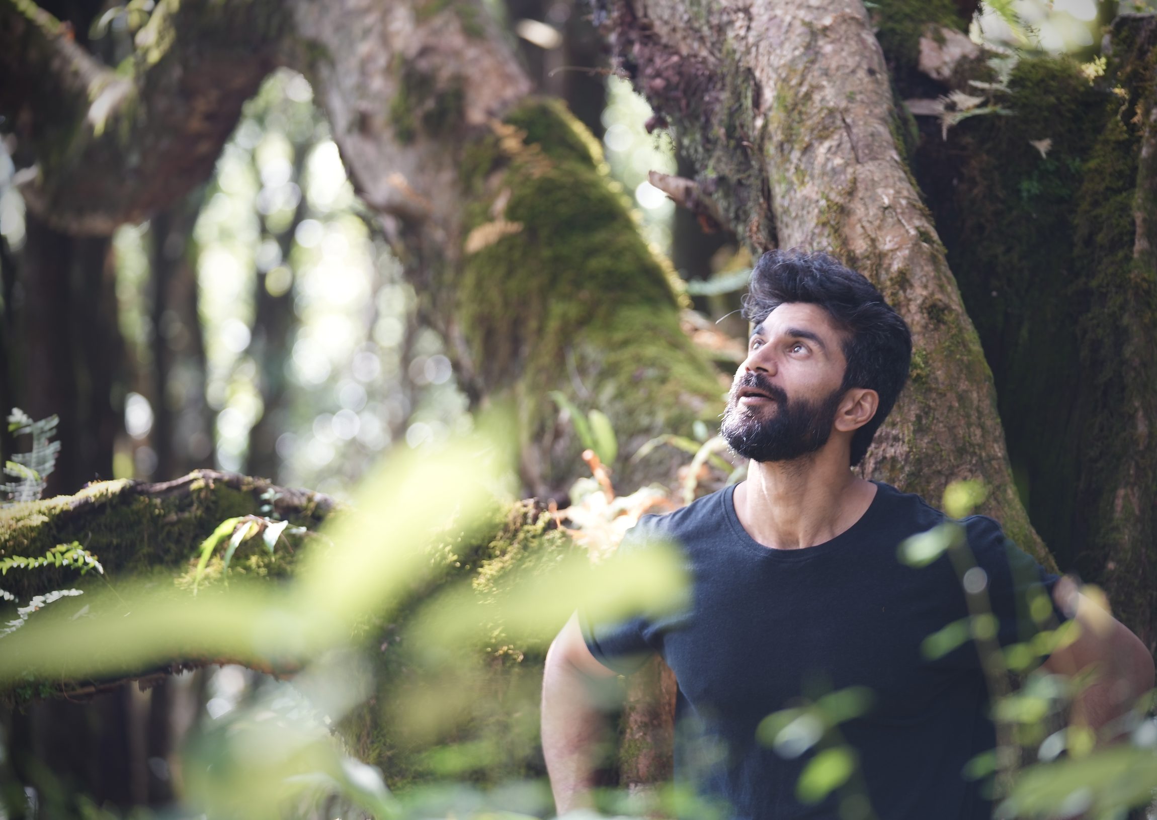 Nived Mishra in the forest, looking up through the canopy