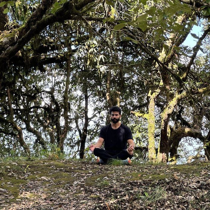 Sitting under the old oaks in the forest